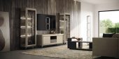 Prestige Light Entertainment center